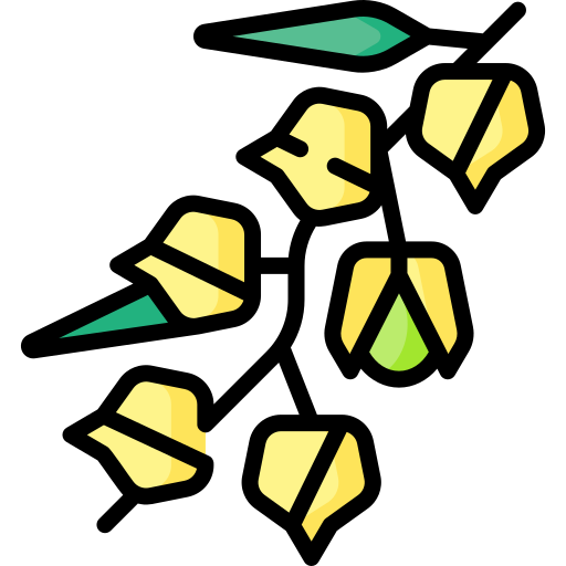 bayas de oro Special Lineal color icono