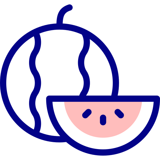 wassermelone Detailed Mixed Lineal color icon
