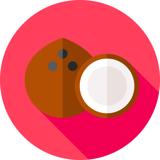 orzech kokosowy Flat Circular Flat ikona