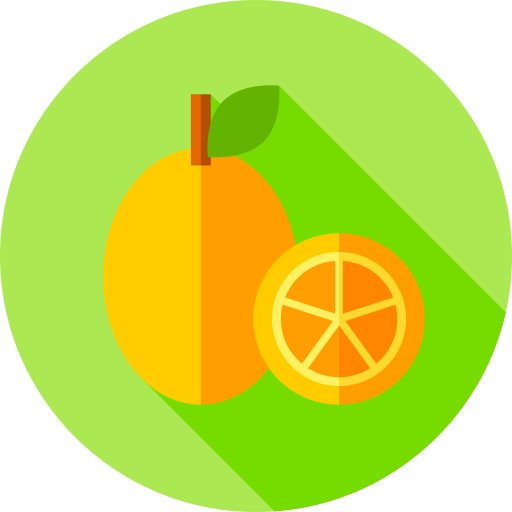 kumquats Flat Circular Flat icono