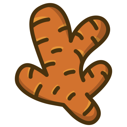 ginger Generic Outline Color icon