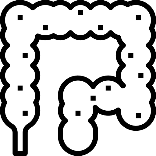 結腸 Meticulous Line icon