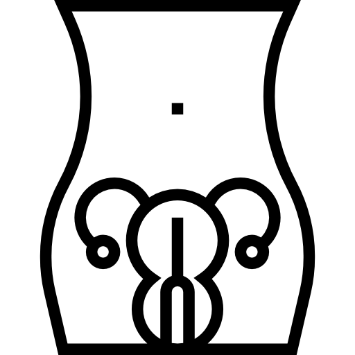 パプ Meticulous Line icon
