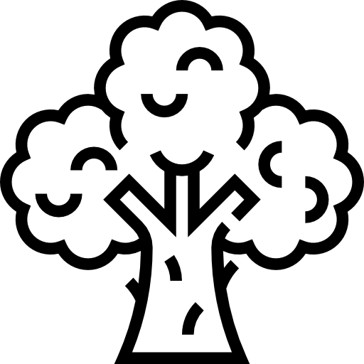 brokkoli Meticulous Line icon