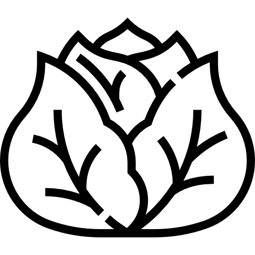 양배추 Meticulous Line icon