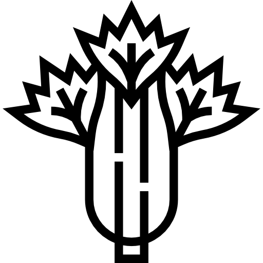 セロリ Meticulous Line icon