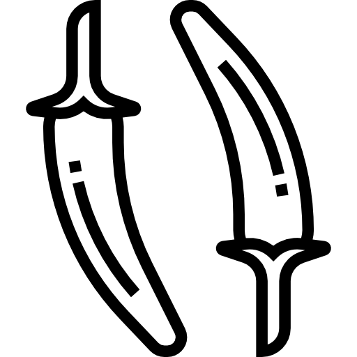 チリ Meticulous Line icon