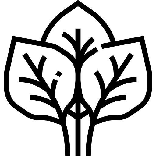 espinacas Meticulous Line icono