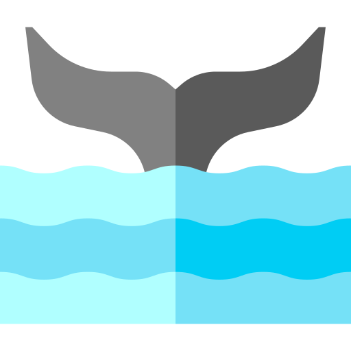 balena Basic Straight Flat icona
