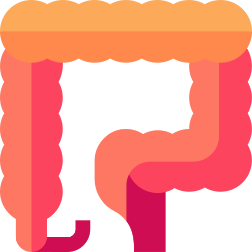 intestino grueso Basic Straight Flat icono