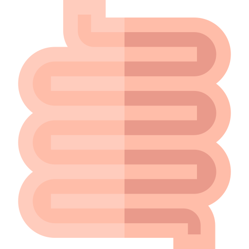 Small Intestine Basic Straight Flat icon