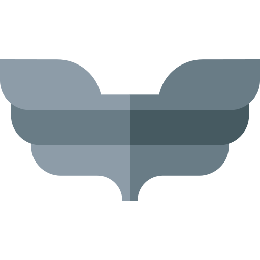 vleugels Basic Straight Flat icoon