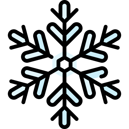 płatek śniegu Special Lineal color ikona