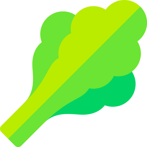 Lettuce Basic Rounded Flat icon