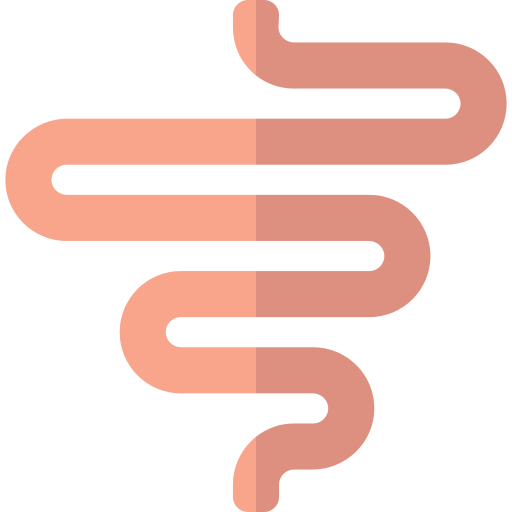 intestino delgado Basic Rounded Flat icono
