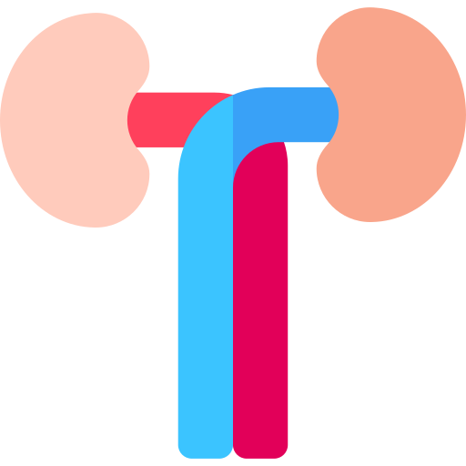 Kidneys Basic Rounded Flat icon