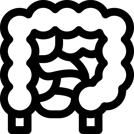 intestino Basic Rounded Lineal icono