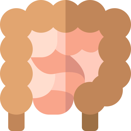 Intestine Basic Rounded Flat icon