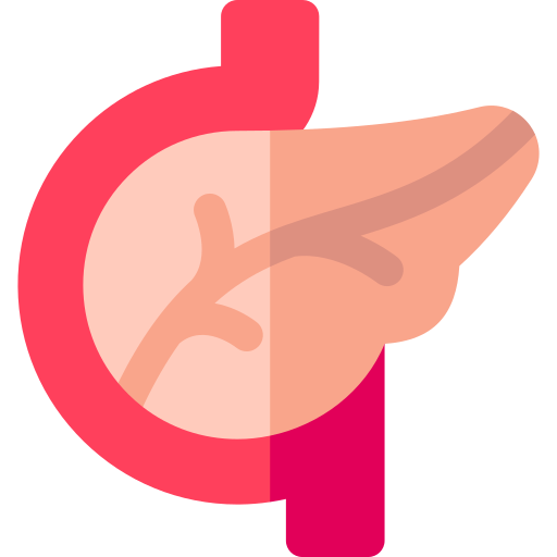 pancreas Basic Rounded Flat icona
