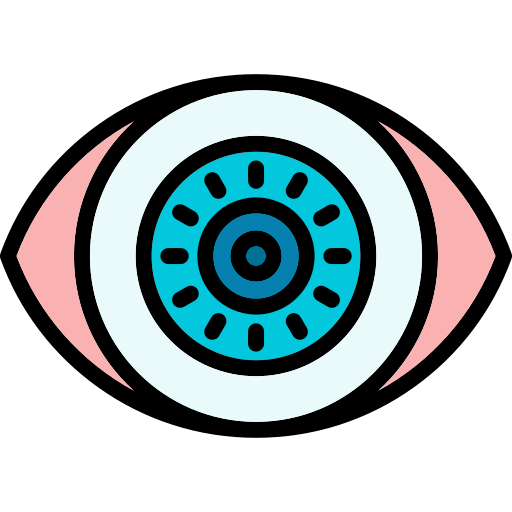 ojo Generic Outline Color icono