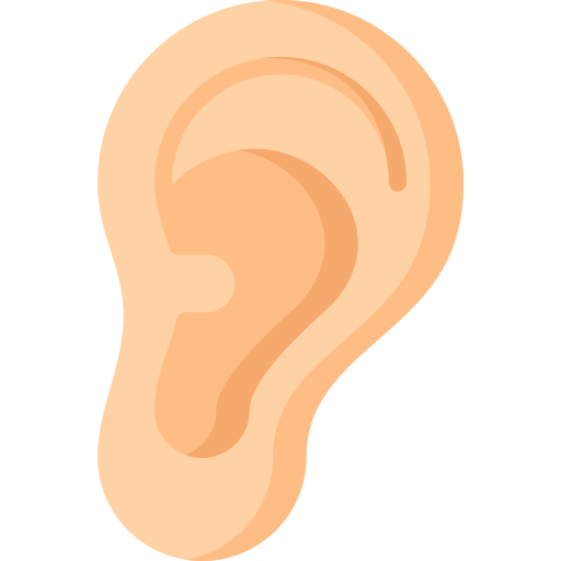 귀 Generic Flat icon