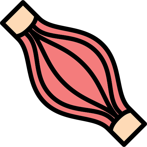 Muscle Generic Outline Color icon