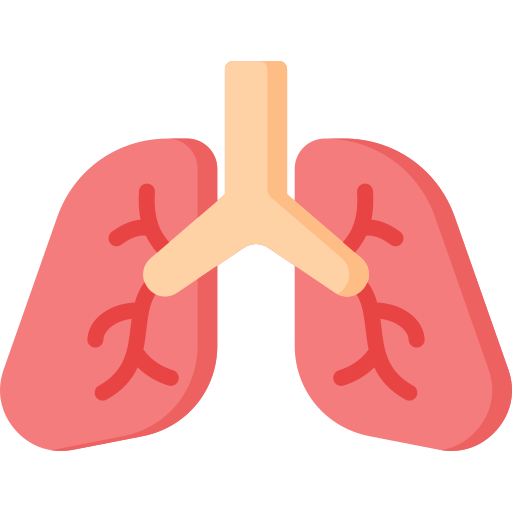 poumons Generic Flat Icône