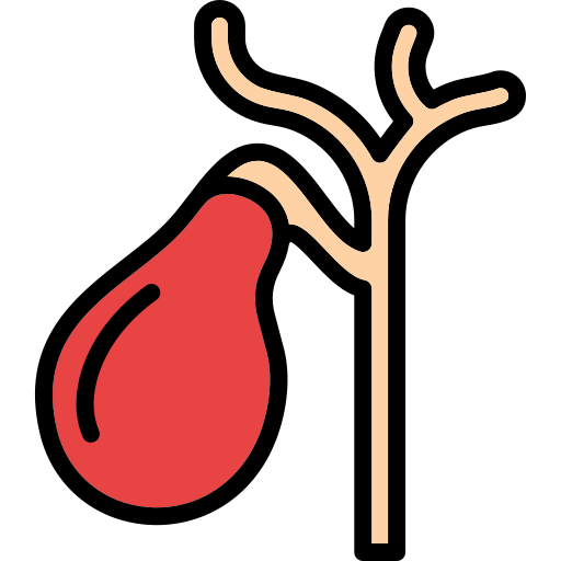 Gallbladder Generic Outline Color icon