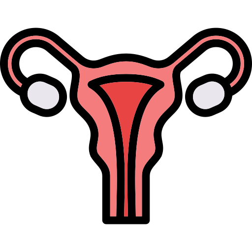 utérus Generic Outline Color Icône