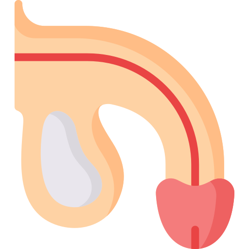 Penis Generic Flat icon