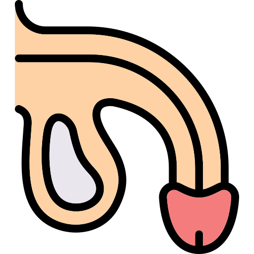 penis Generic Outline Color ikona