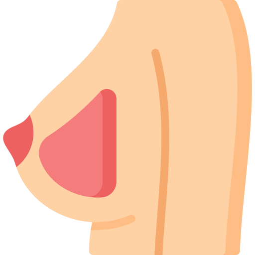 Breast Generic Flat icon