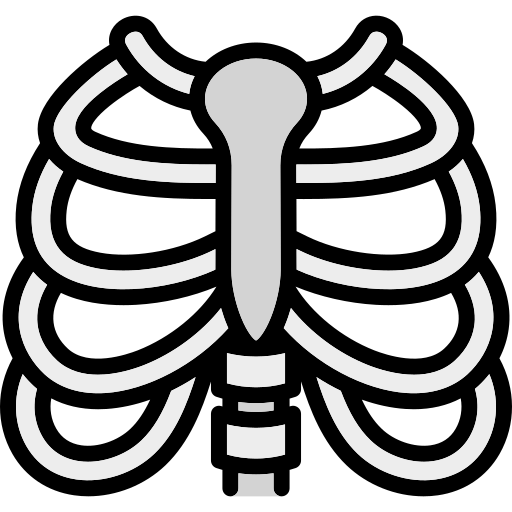 Rib Cage Generic Outline Color icon