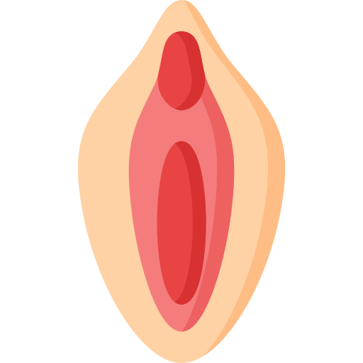 vulva Generic Flat Ícone