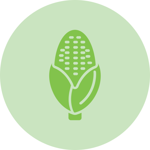 Corn Generic Flat icon