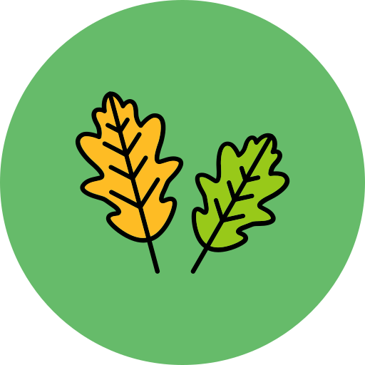 Oak Leaf Generic Outline Color icon