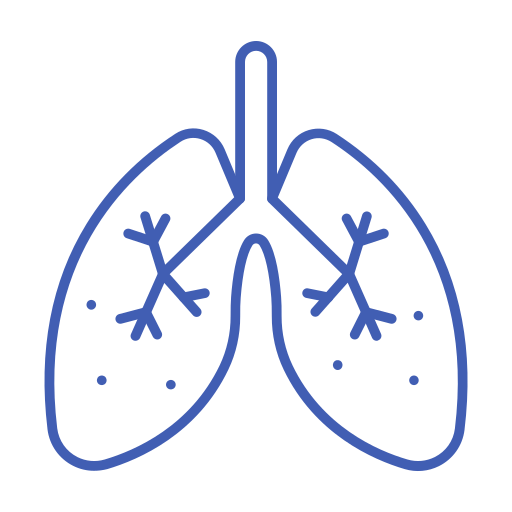 polmoni Generic Simple Colors icona