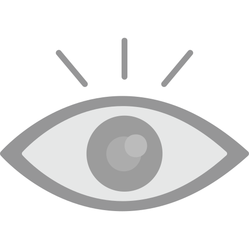 ojo Generic Grey icono