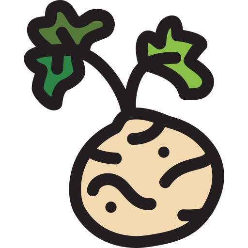 Celery root Generic Outline Color icon