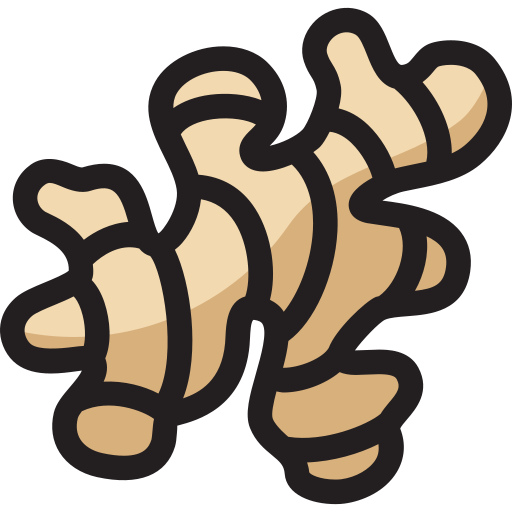 ginger Generic Outline Color icon