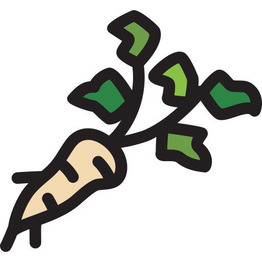 pastinake Generic Outline Color icon