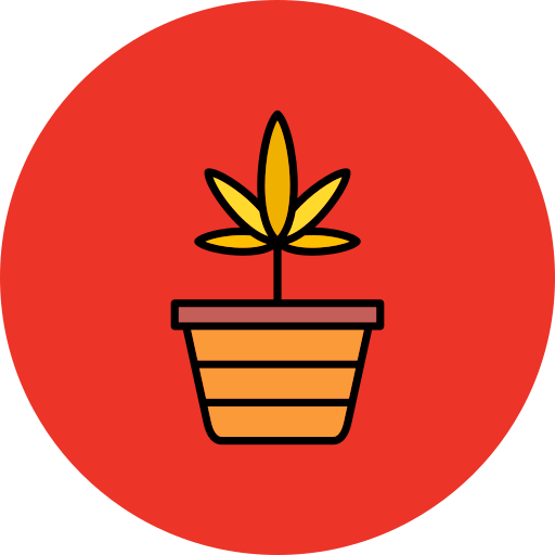 Pineappleweed Generic Outline Color icon