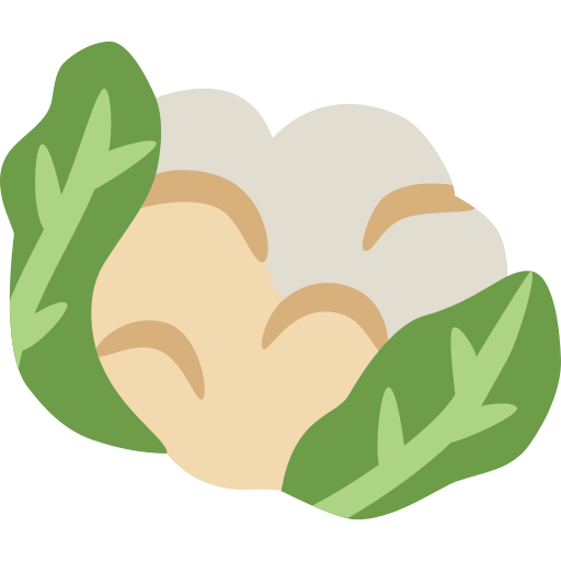 Cauliflower Generic Flat icon