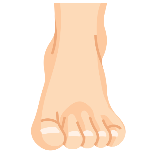 pieds Generic Flat Icône