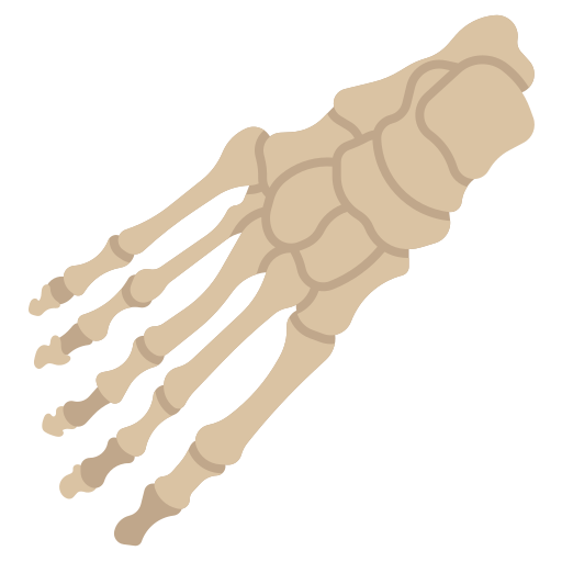 ossa Generic Flat icona