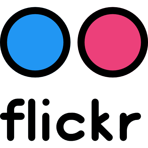 flickr Pixel Perfect Lineal Color icono