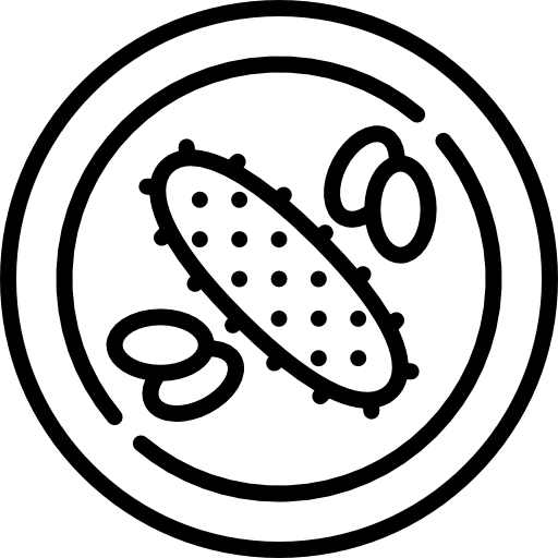 cetriolo di mare Special Lineal icona