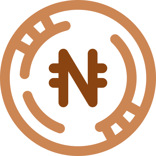 naira Generic Outline Color icon