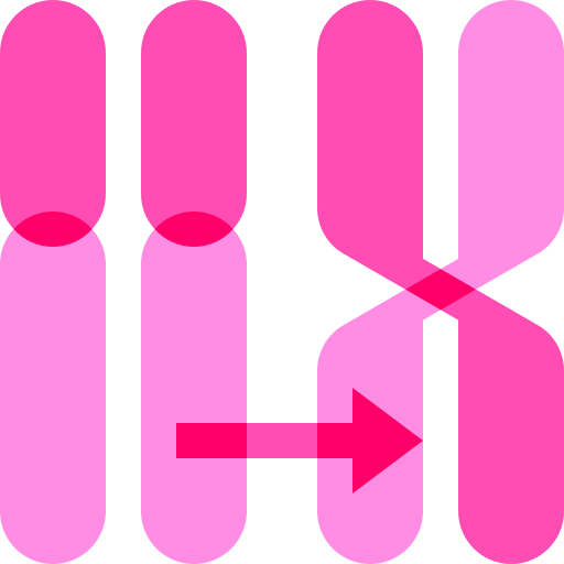 Chromosome Basic Sheer Flat icon