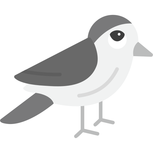 Sparrow Generic Grey icon
